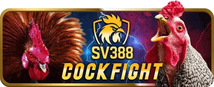 Bảo mật tài khoản thành viên 08win nhà cái